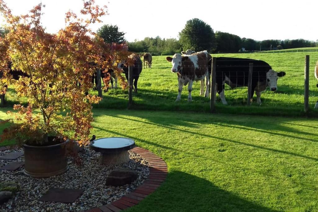 Courtyard Cottage 洛克比 外观 照片